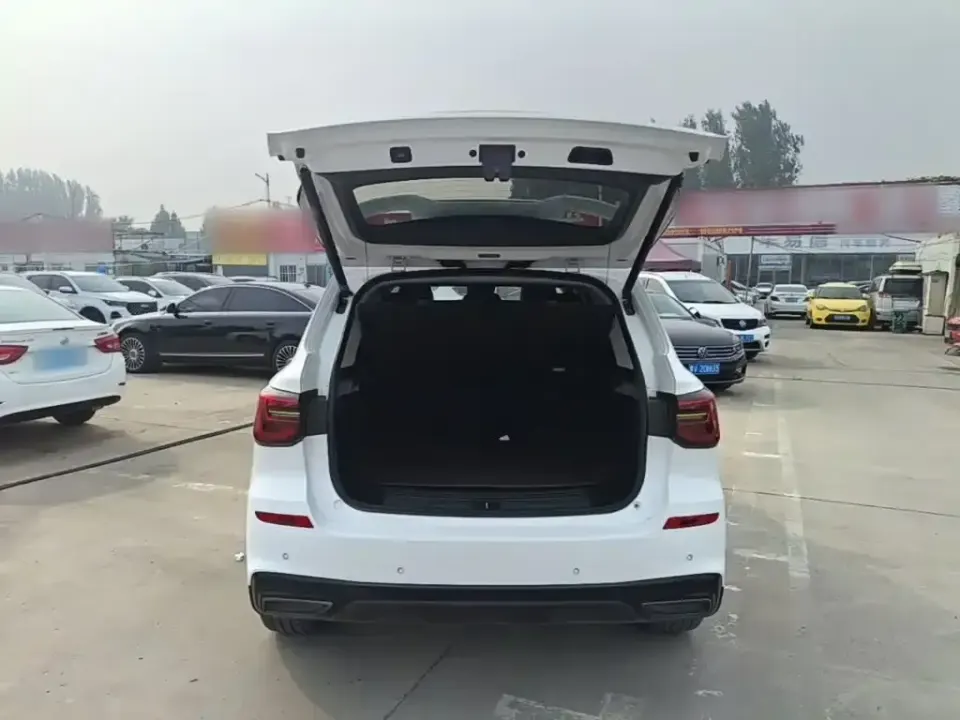 Roewe RX5 New Energy