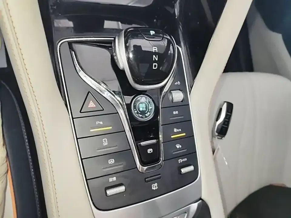 BYD PLUS New Energy