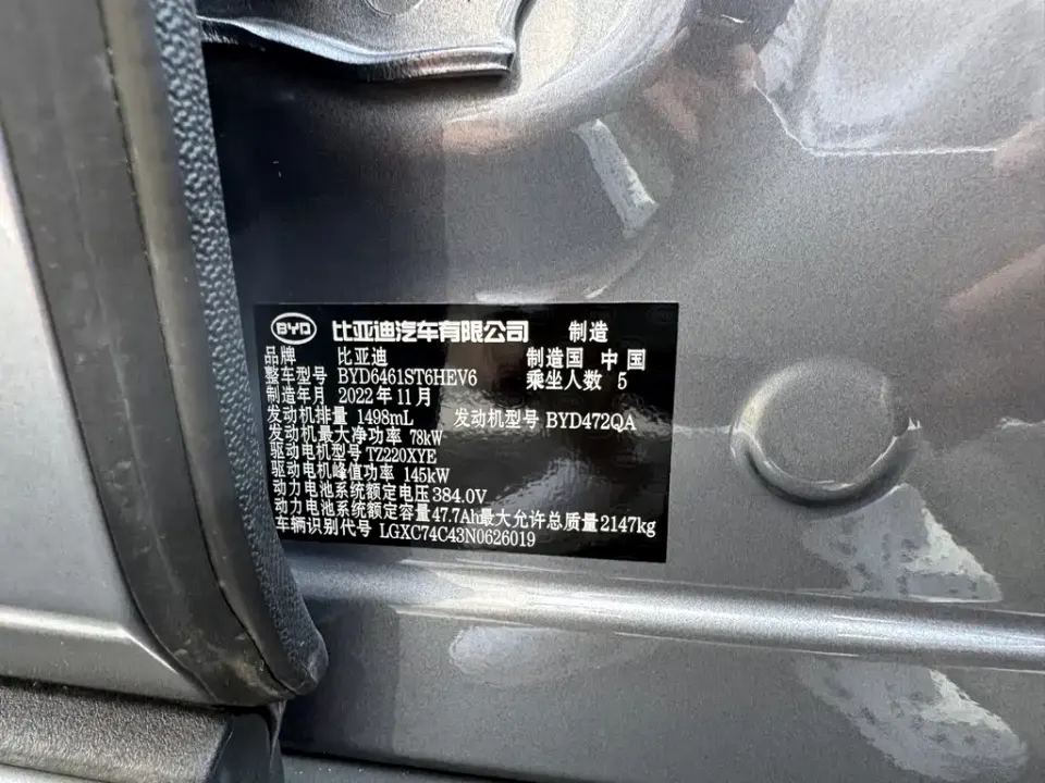 BYD Pro New Energy