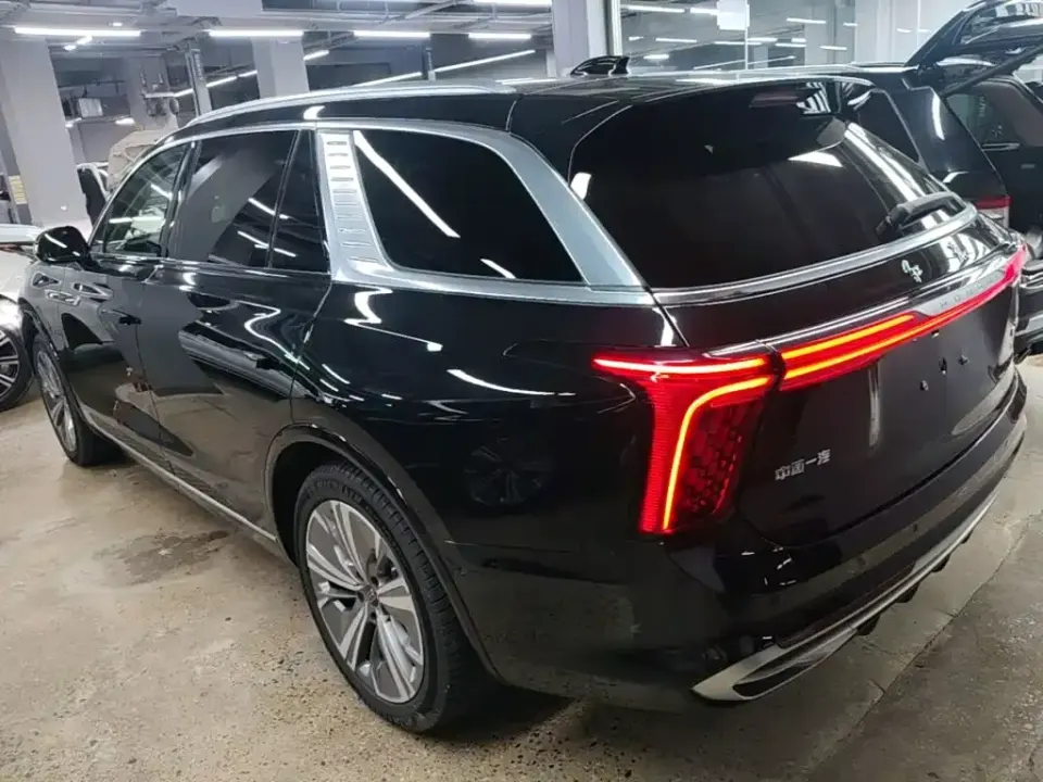 Hongqi Hongqi E-HS9