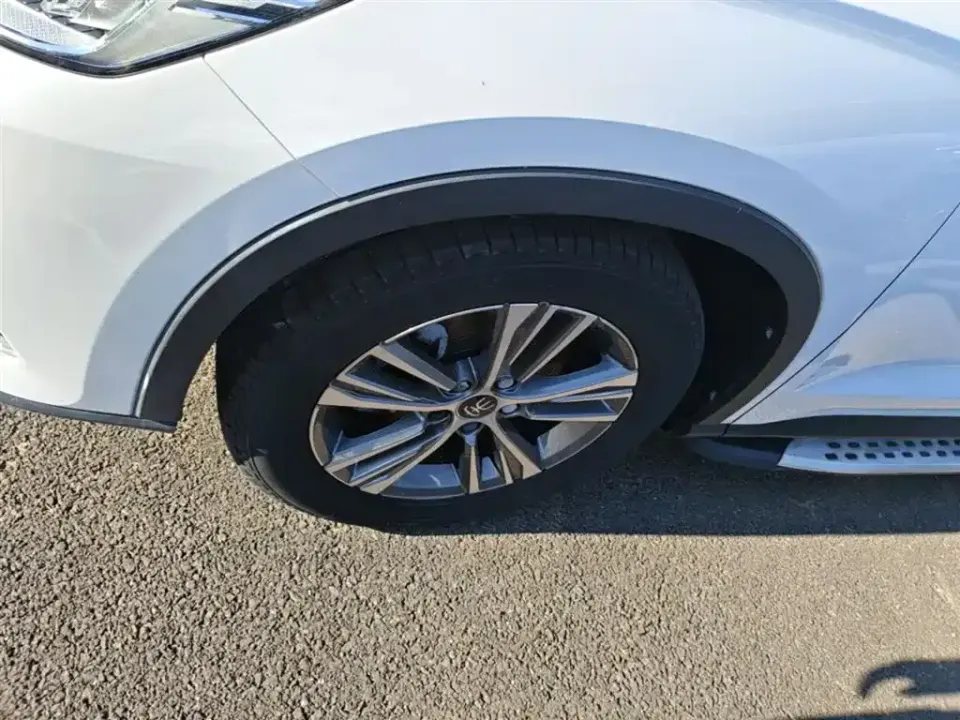 BYD Pro