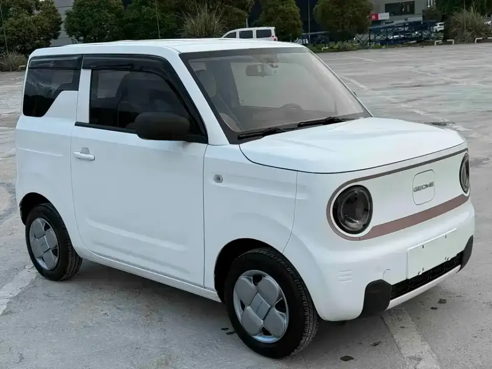 Galaxy Panda
