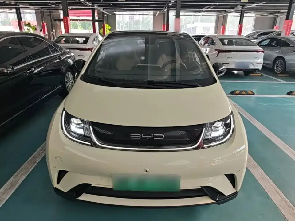 BYD Dolphin