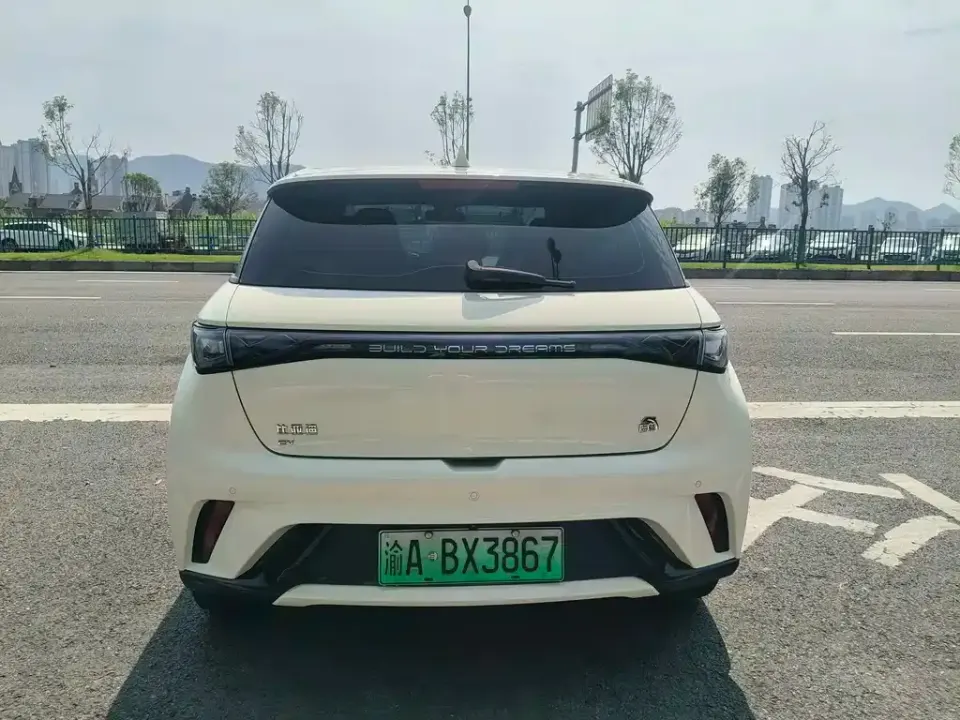 BYD Dolphin