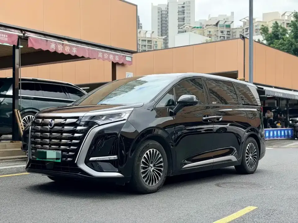 Denza Denza D9
