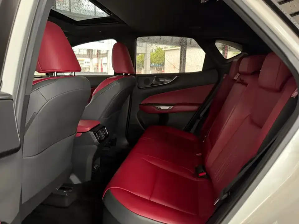 Lexus NX New Energy