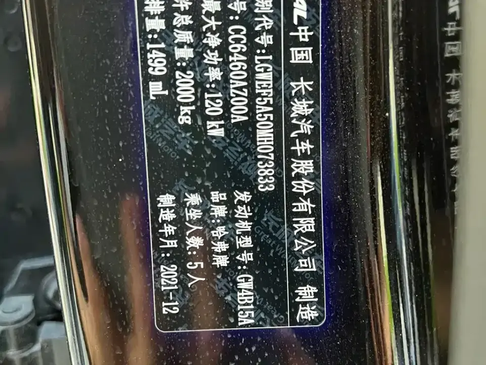Haval Big Dog