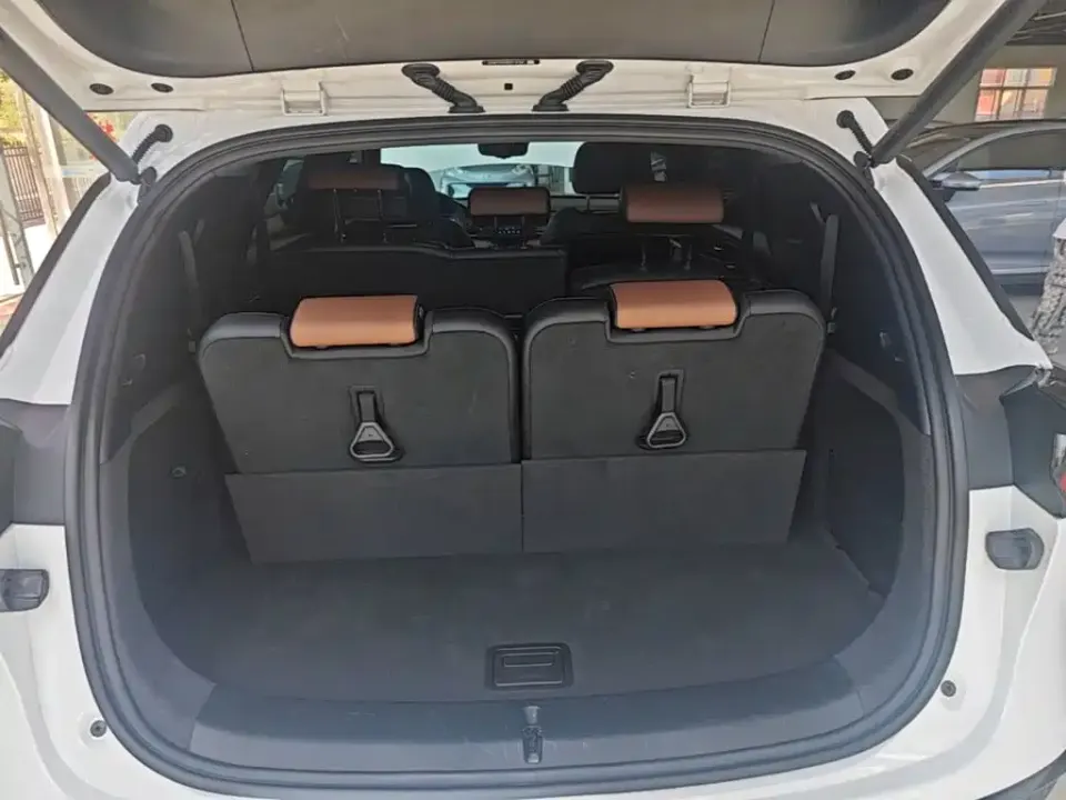 BYD Tang New Energy