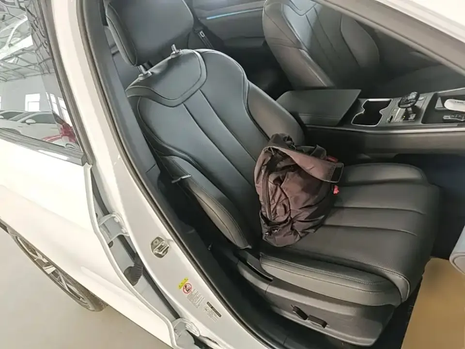 BYD Pro New Energy