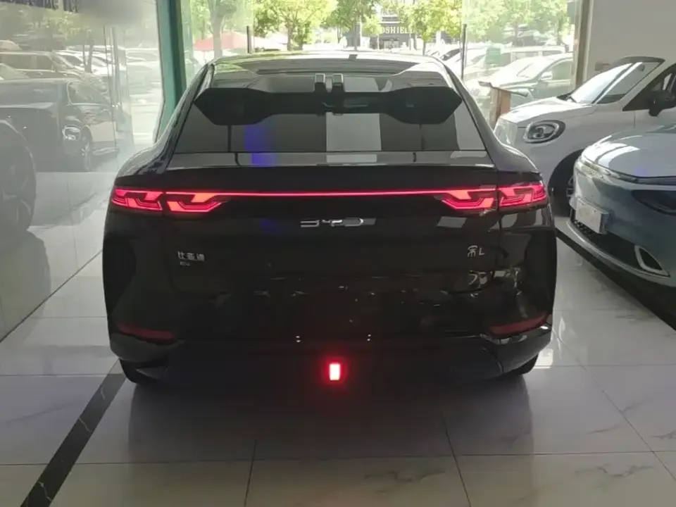 BYD L EV