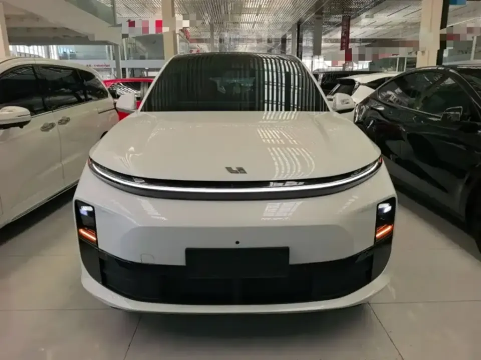 Li Li L6