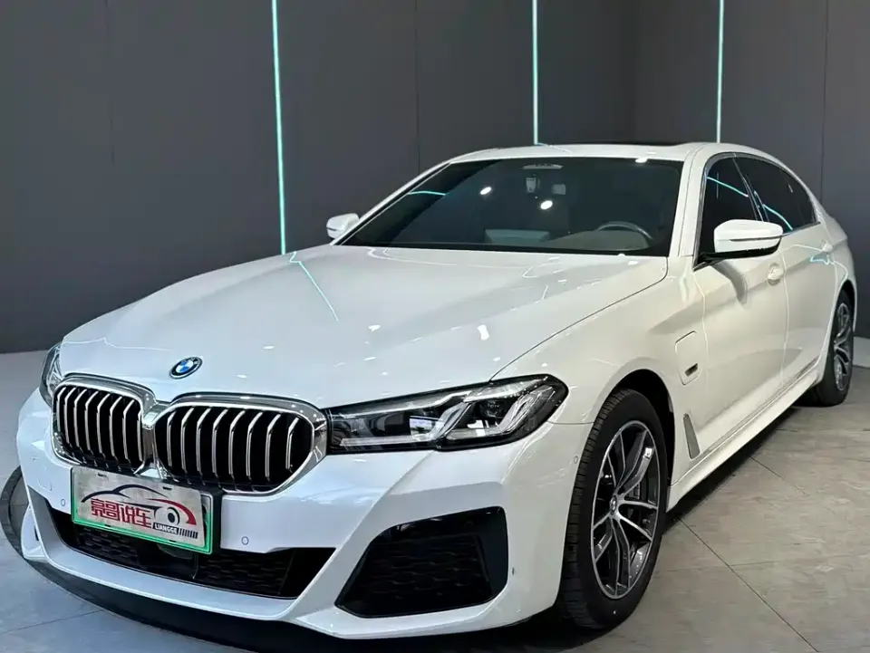 BMW 5 Series New Energy