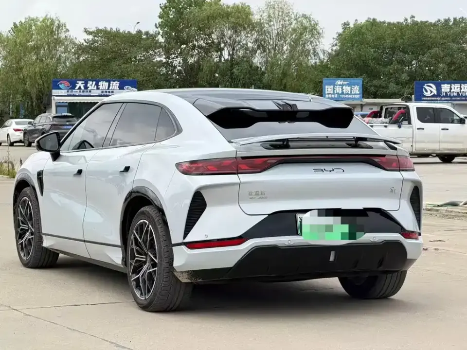 BYD L EV