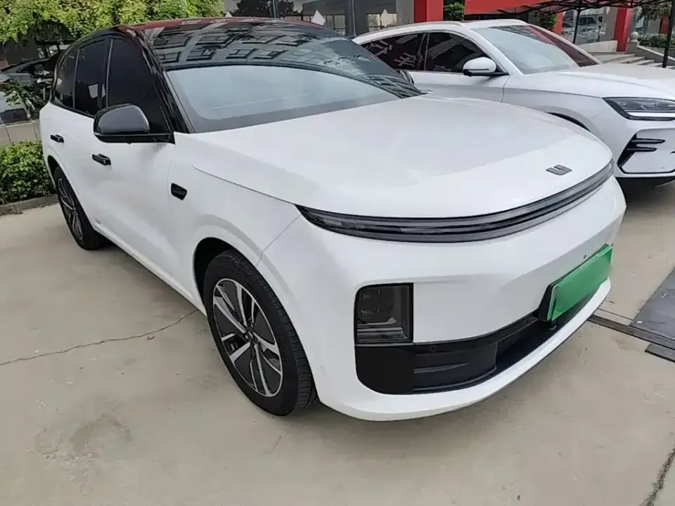 Li Li L6