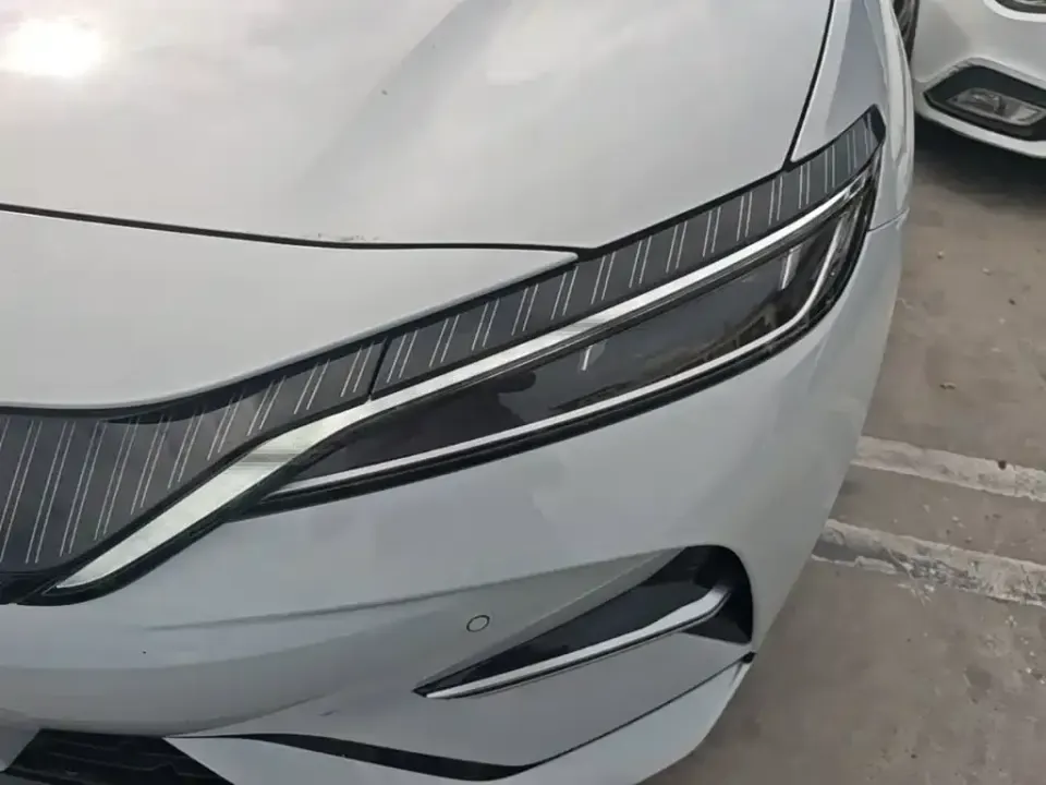 BYD L EV