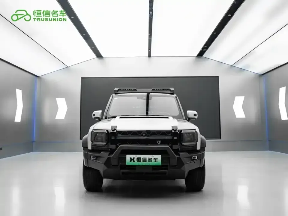 Shanhai Traveller C-DM