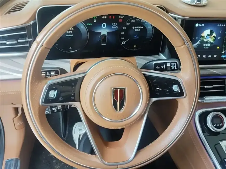 Hongqi Hongqi H9
