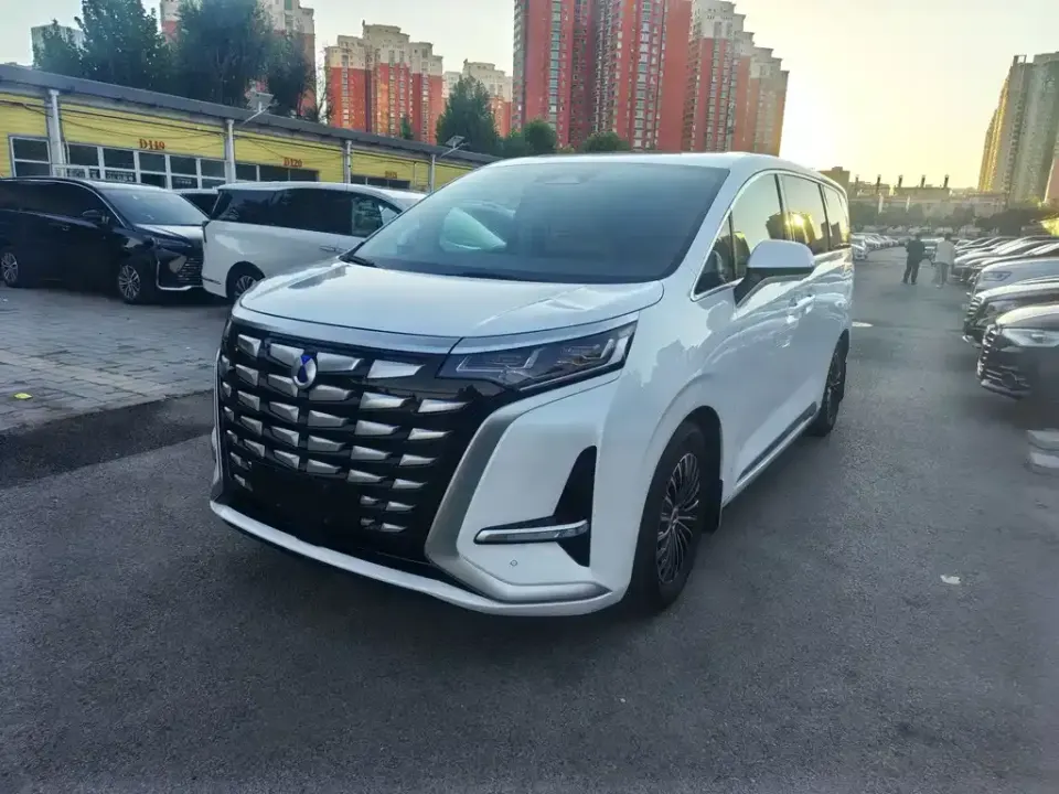 Denza Denza D9