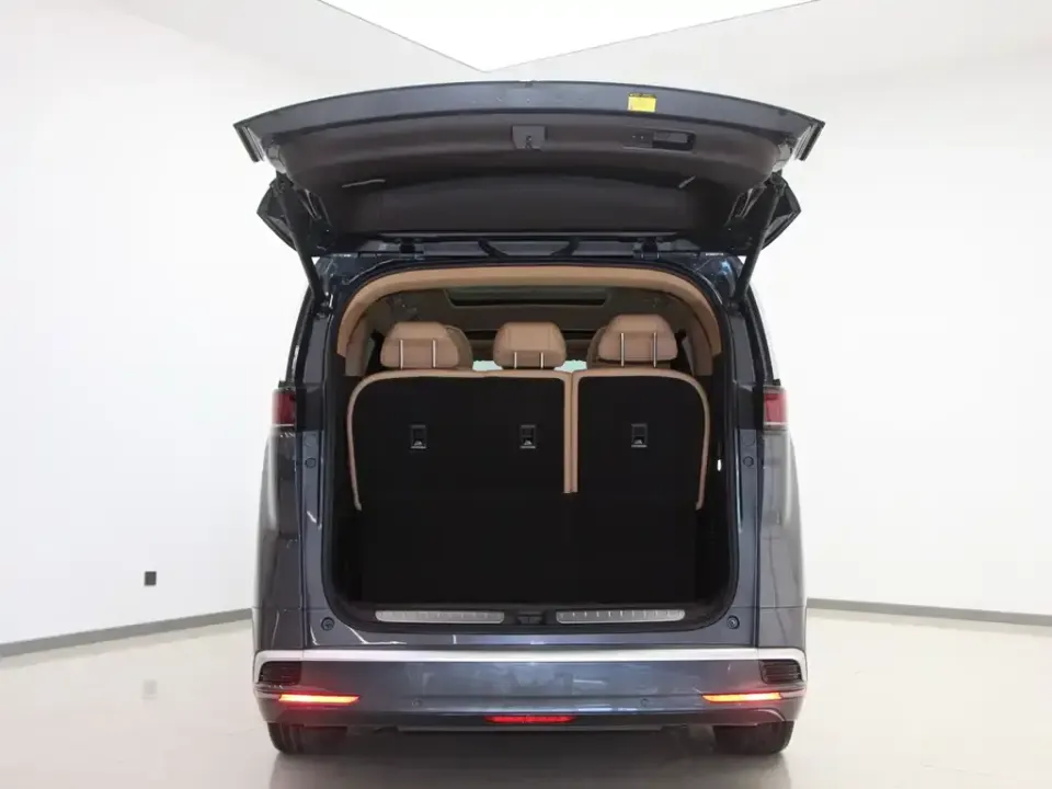 Denza Denza D9