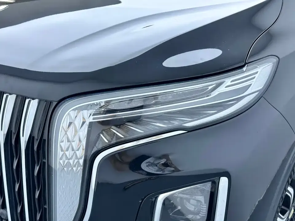 Hongqi Hongqi HQ9
