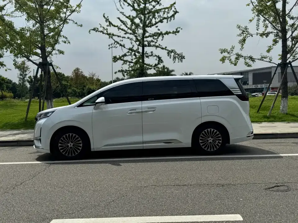 Denza Denza D9