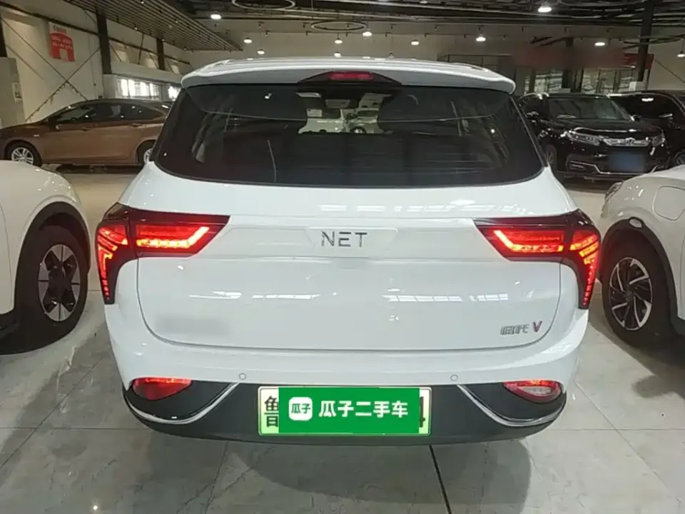 Neta Neta V