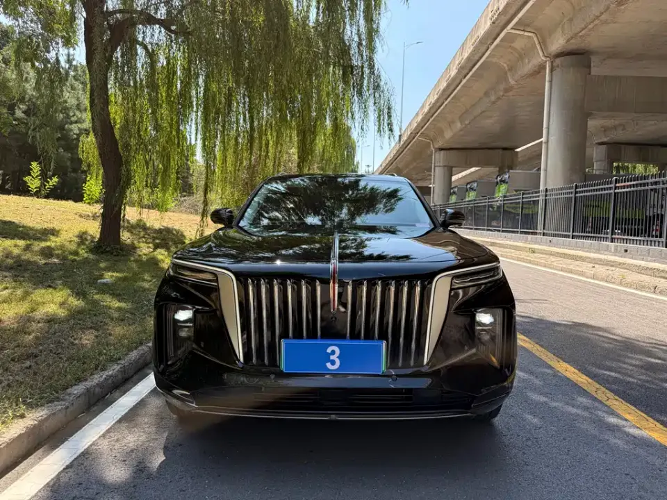 Hongqi Hongqi E-HS9