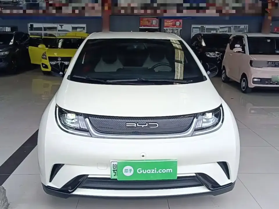 BYD Dolphin