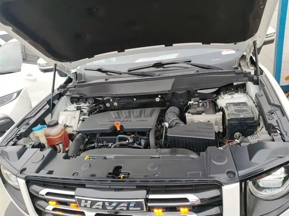 Haval Big Dog