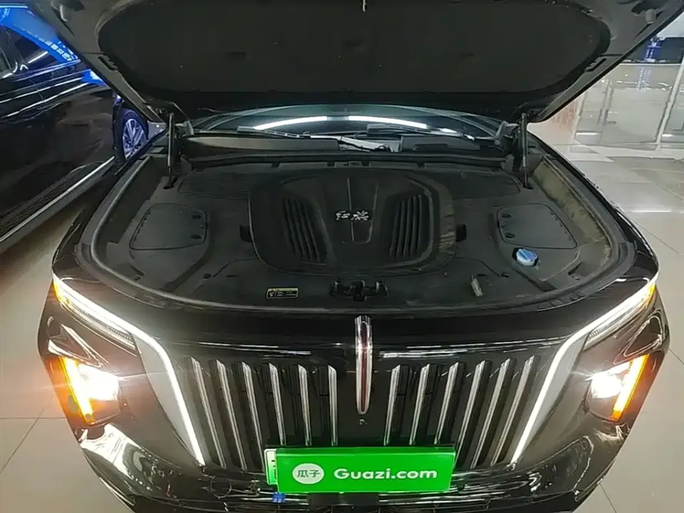 Hongqi Hongqi E-HS9