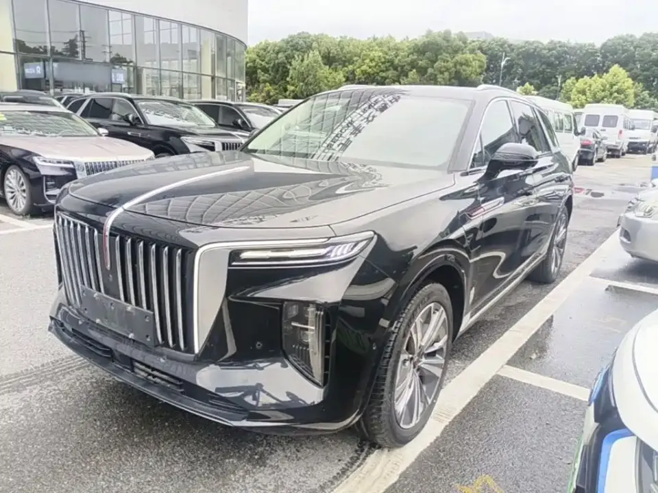 Hongqi Hongqi E-HS9
