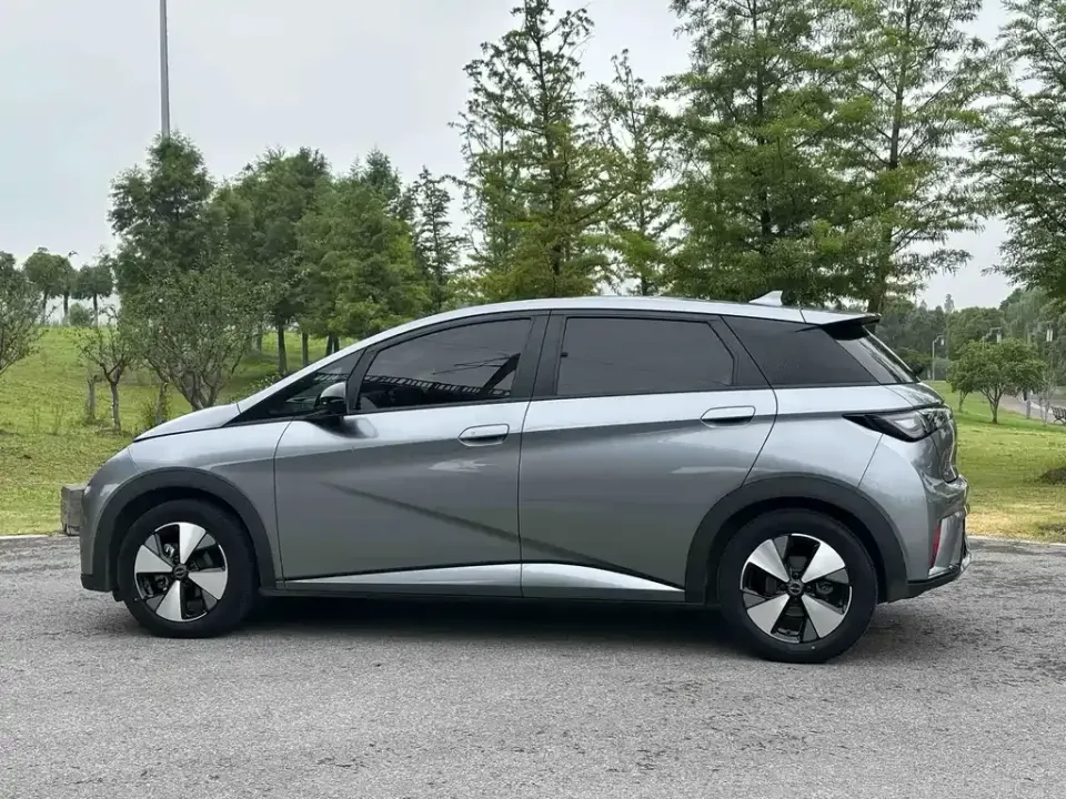 BYD Dolphin