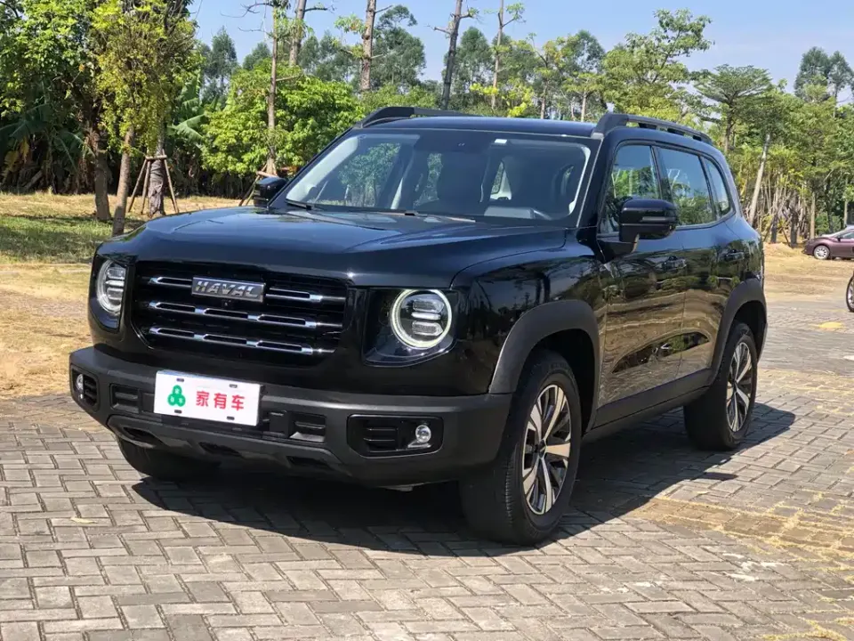 Haval Big Dog