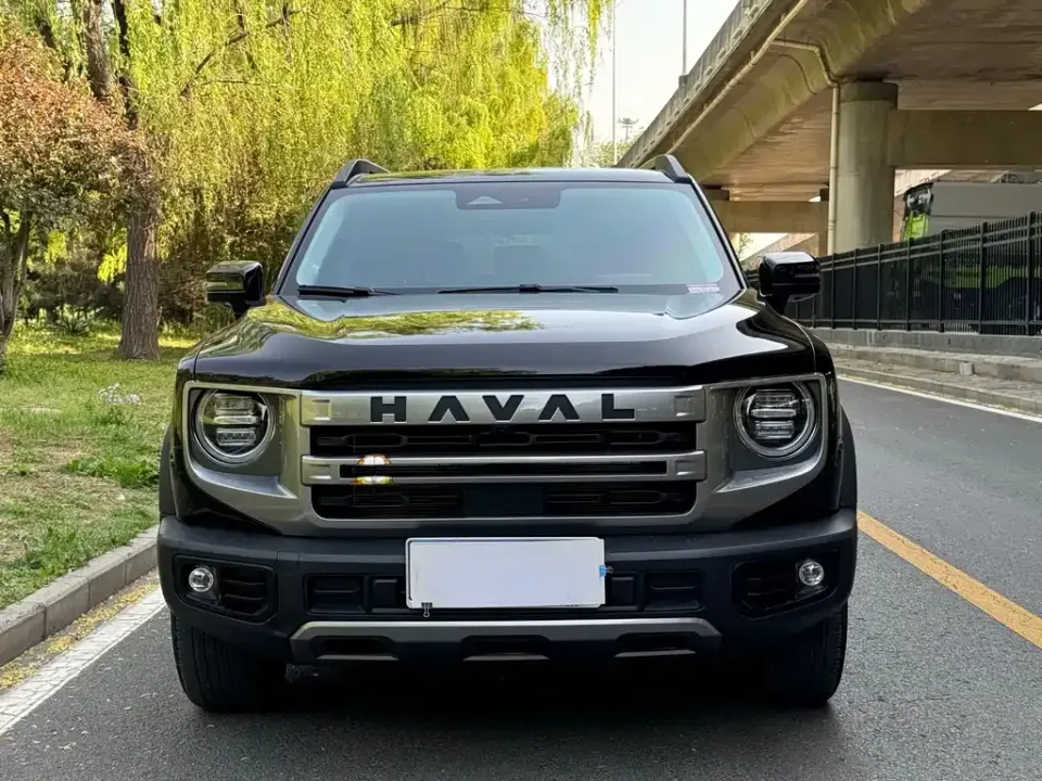Haval Big Dog