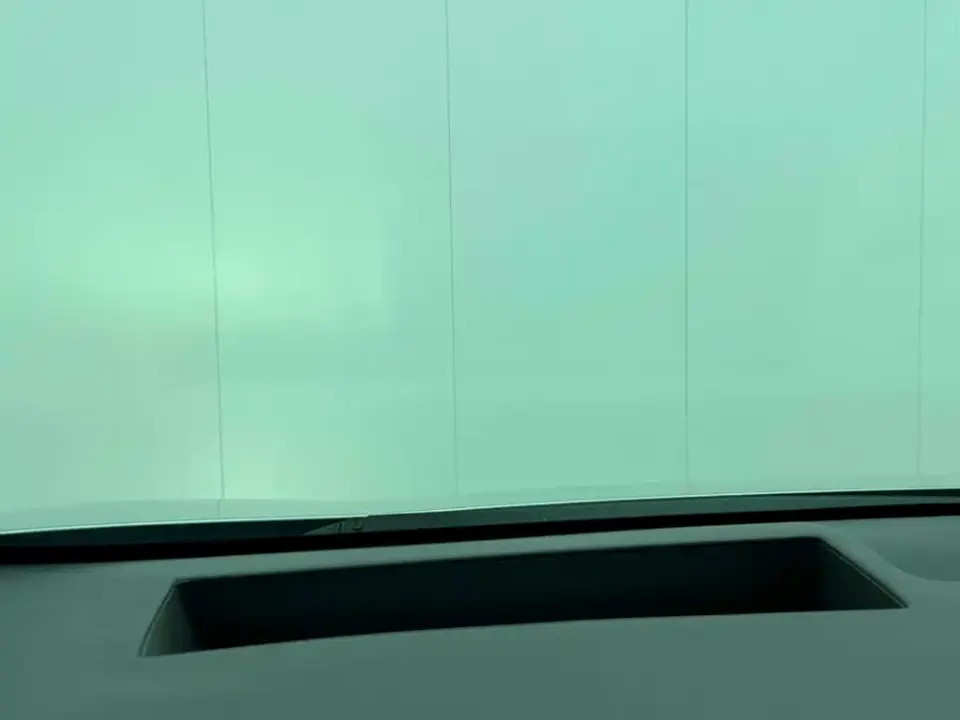 Buick Electra Encasa