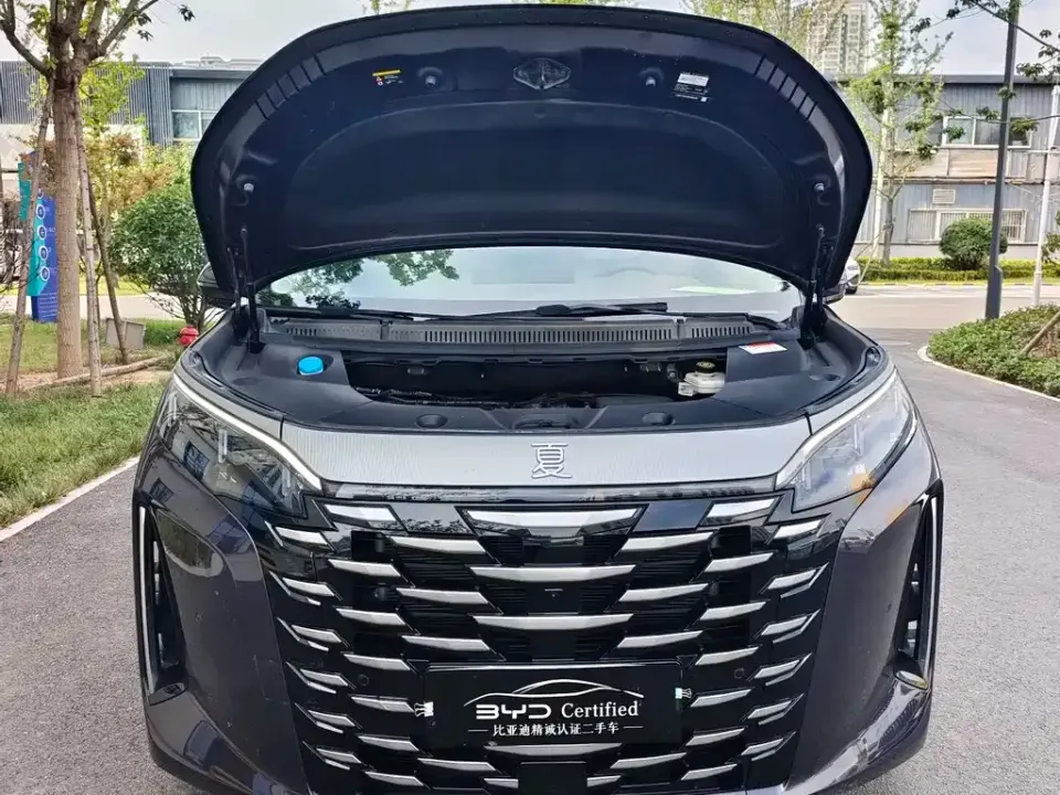 BYD Xia
