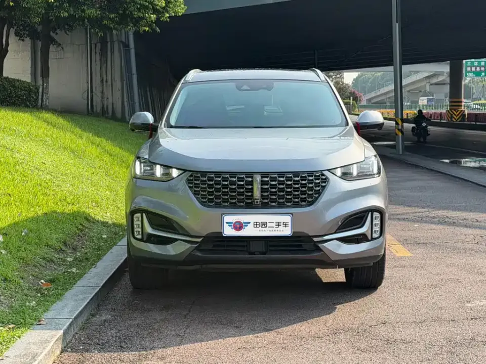 WEY Wey VV6