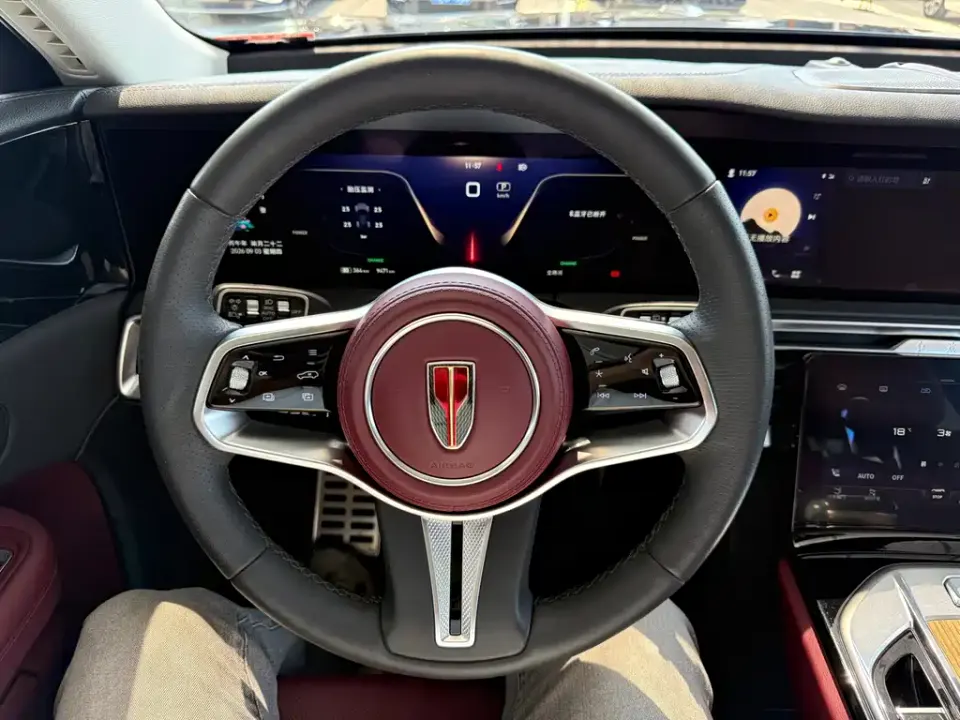 Hongqi Hongqi E-HS9