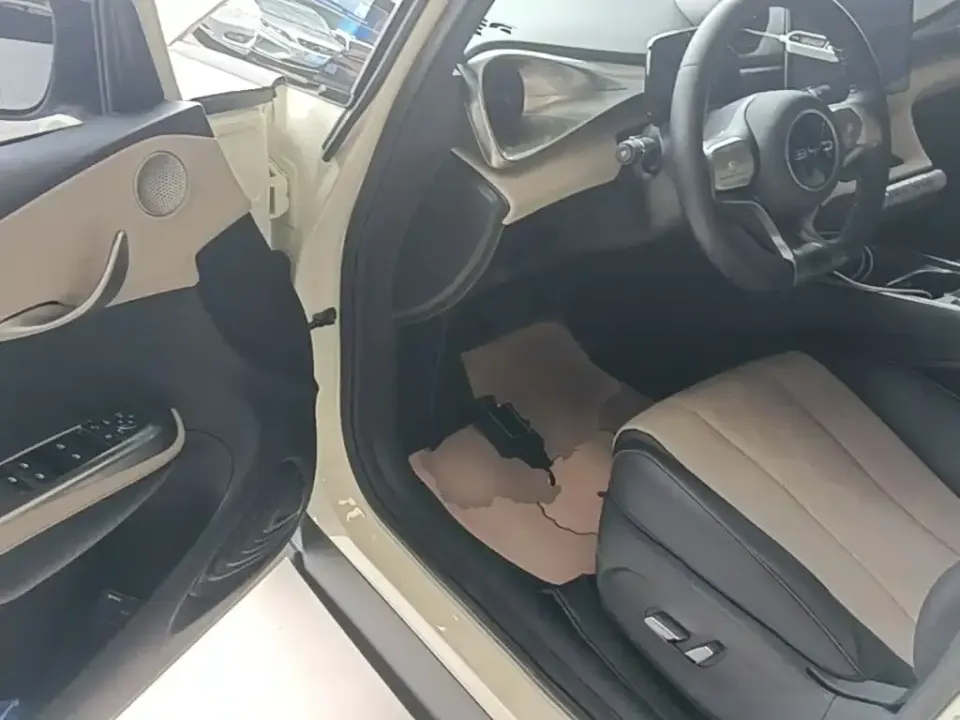 BYD Dolphin
