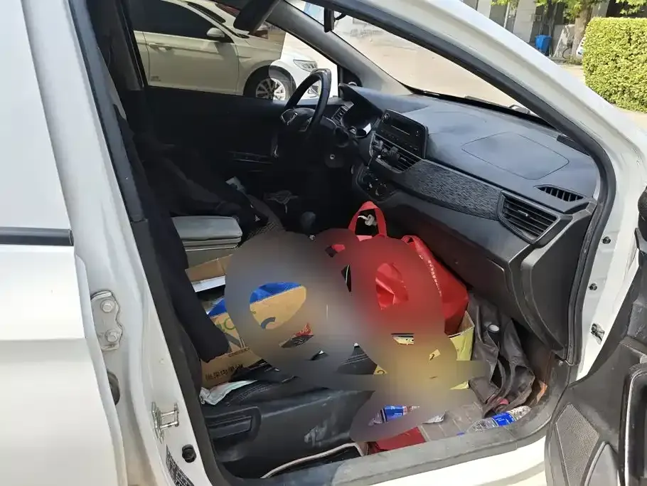 Baojun 310