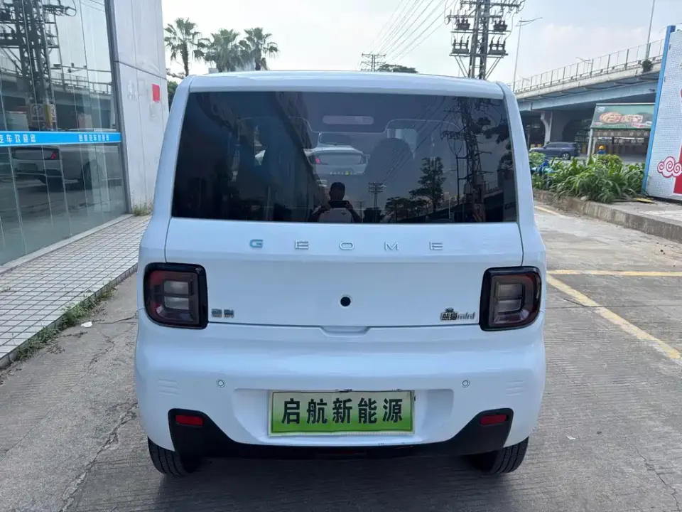 Galaxy Panda