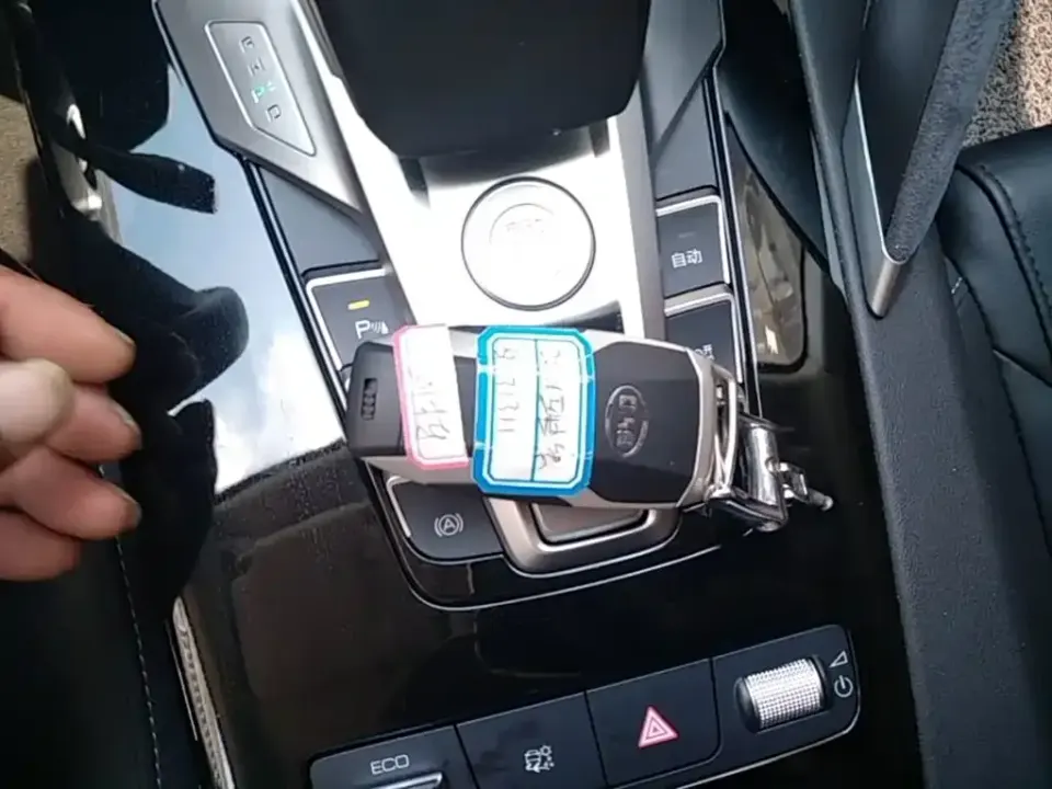 BYD Pro New Energy