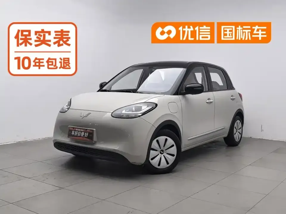 Wuling Bingo