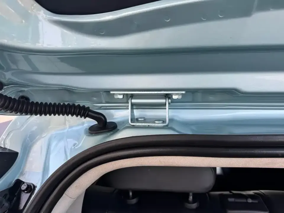 Neta Neta V
