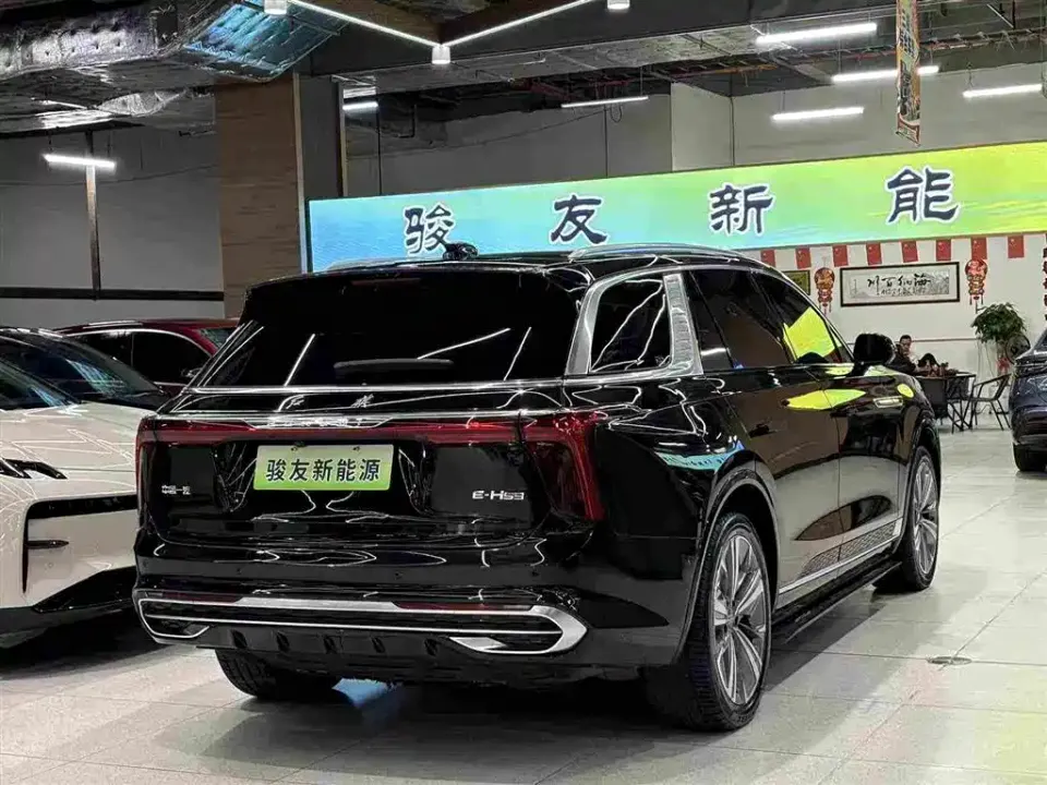 Hongqi Hongqi E-HS9