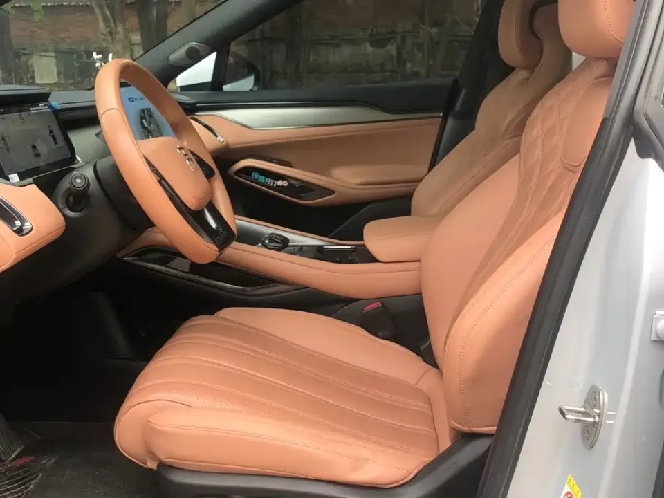 BYD L EV