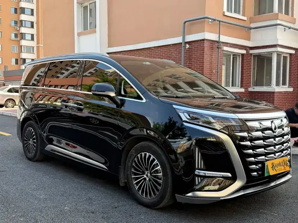 Denza Denza D9