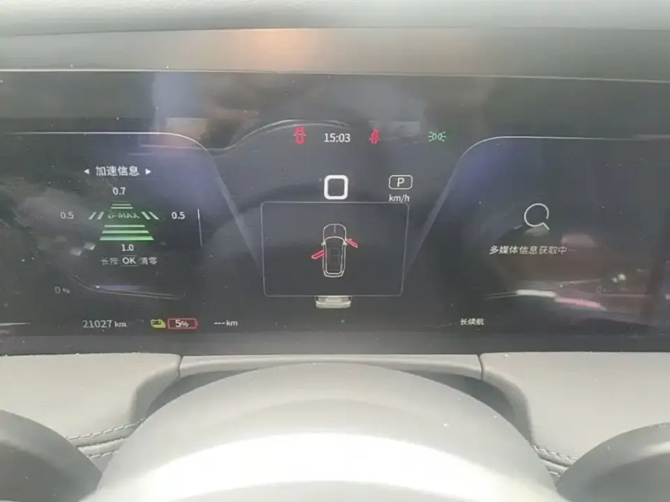 Hongqi Hongqi E-HS9