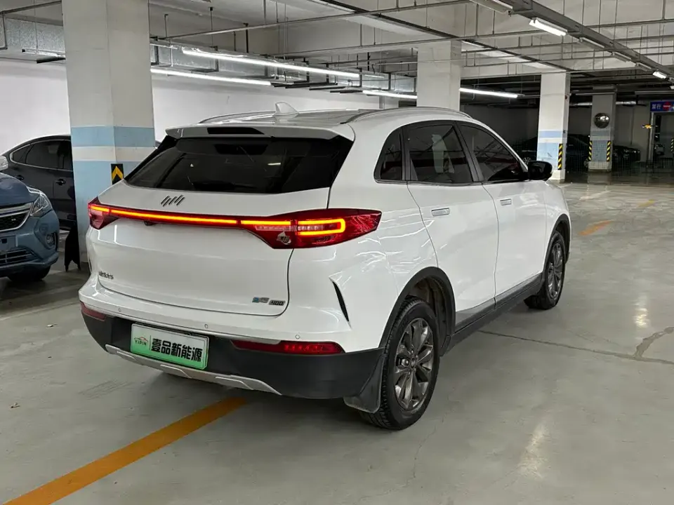 WM Motor EX5
