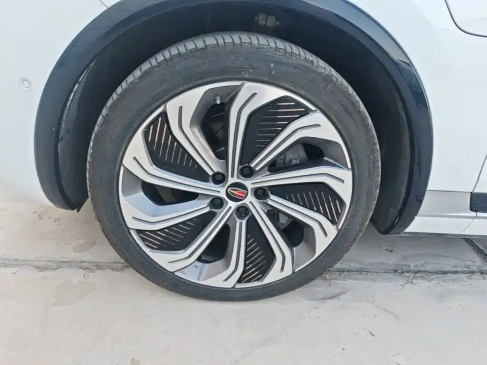 Hongqi Hongqi E-HS9